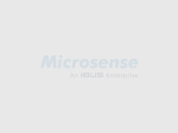 Strategic Infrastructure Partner